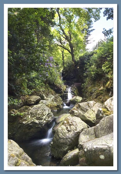 Tollymore Forest Park