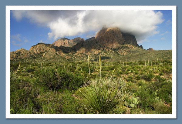 Big Bend NP 1