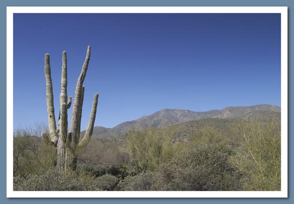 Apache Trail