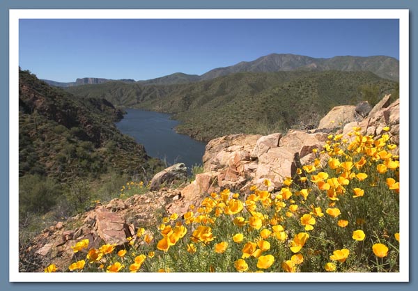 Gila River AZ 188