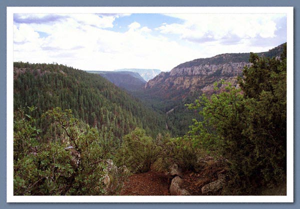 Oak Creek Canyon 1